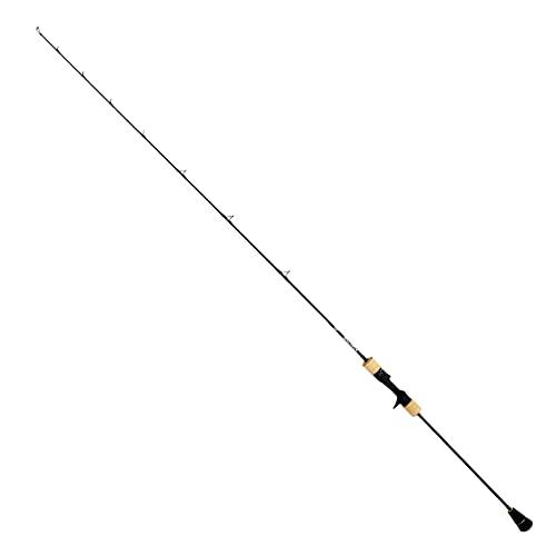 Daiwa SALTIGA SJ AGS 55B-2 TG Baitcasting Rod 4550133067815