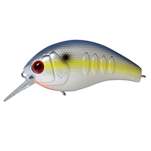 DEPS KORRIGAN MAGNUM 150 #16 Sexy Shad 4544565109168 – North-One